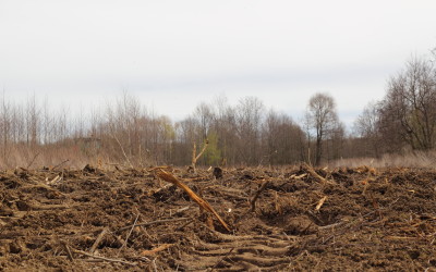 Rekultywacji ciąg dalszy